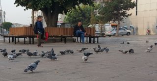 Düzcenin Güvercinli Meydanları Çocukların İlgi Odağı Oldu