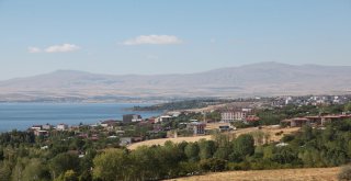Ahlatta Sakin Şehir Aday Başvurusu Sevinci