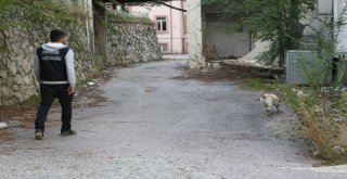 Polis Ekiplerinden Narkotik Uygulaması