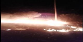 Ayvalıkta Orman Yangını