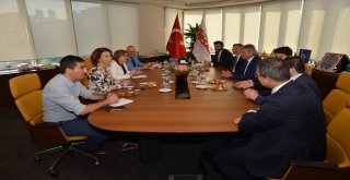 Gaziantepe Günübirlik Yabancı Turistler Gelecek