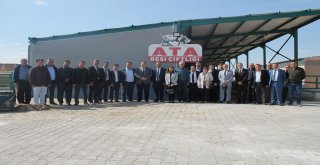 Bilecik, Tarıma Dayalı İhtisas Organize Sanayi Bölgeleri İle Gelişecek