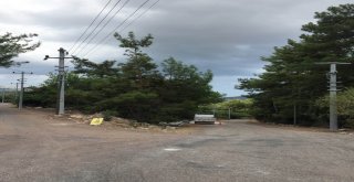 Olymposun Ateşi Gibi Işığı Da Hiç Sönmeyecek