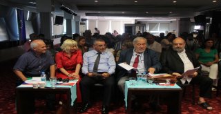 Ortaylı: Romanlar Osmanlılar Tarafından İdari Ve Askeri Yapılarda İstihdam Ediliyorlardı