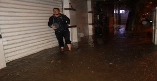Yalova Sele Teslim Oldu