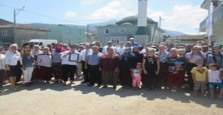 Kapıdağ Mor Soğanı Coğrafi İşaret Aldı