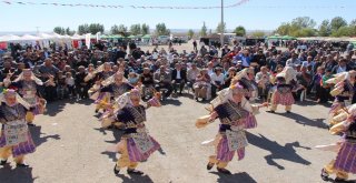 Bu Da Çobanların Festivali