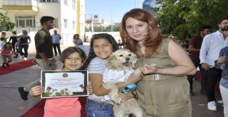 Can Dostlar Kırmızı Halıda