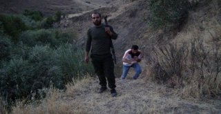 Gercüşte Domuzlar Köylülerin Kabusu Oldu