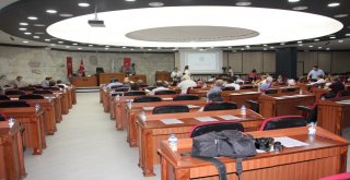 Gençer, Orman Yangınlarını Gündeme Taşıdı