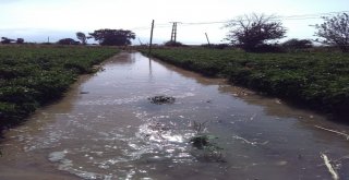 Boru Patladı, Mahsuller Su İçinde Yüzdü