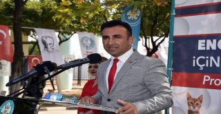 Sokak Hayvanları Geri Dönüşüm İle Hayata Tutundu