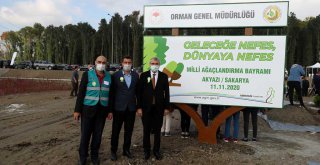 Sakarya'da fidanlar toprakla buluştu