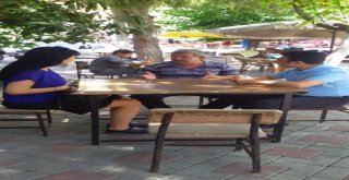 Haşereyle Mücadele İçin Tarımsal Sulama Bölgelerinde İnceleme