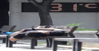 Güney Korede Aşırı Sıcaklar Ölümlere Neden Oluyor