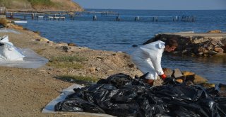 Denizdeki Petrol Sızıntısının Kaynağını Tübitak Da Araştırıyor