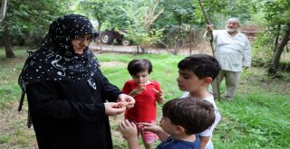 (Özel) ‘Survivor Mücadelesi İle İzlenme Rekoru Kıran Yaşlı Çift İhaya Konuştu