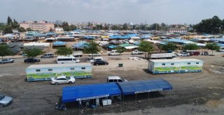 Adanada Kurbanlık Satış Ve Kesim Yerleri Belirlendi