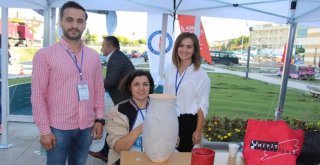 Kütahya Dumlupınar Çini Ve El Sanatları Festivali Sona Erdi