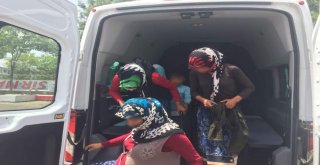 Diyarbakırda Zabıtadan Dilenci Operasyonu