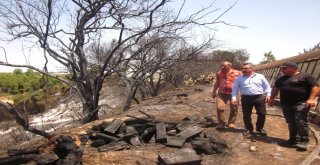 Aksudaki Orman Ve Tarım Arazileri Yangını