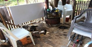 Orduda Metrekareye 108 Kilo Yağmur Düştü