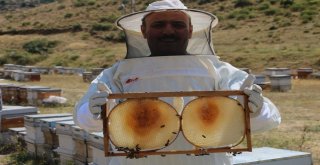 Siirtli Arıcıların Bitlis Dağlarındaki Bal Sağımı Sürüyor