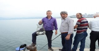 Amatör Balıkçıların Çinekop Avı
