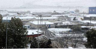 Doğu Anadoluda Kar Yağışı Etkili Oldu