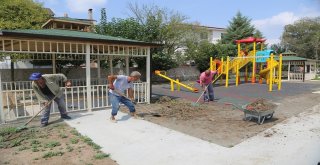 Sapanca Belediyesi Güldibi Mahallesine Kapalı Pazar Yaptı