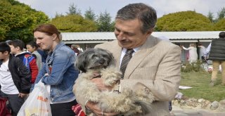 Hayvanları Koruma Günü Etkinliğine 2 Bin 100 Öğrenci Katıldı