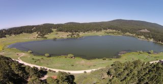 Türkiyenin Karavancıları Gölcükte Buluştu