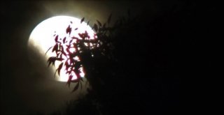 Kanlı Ay Tekirdağda Da Büyüledi