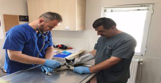 Bursaray İstasyonuna Sıkışan Kedi Kurtarıldı