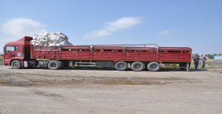 Kars Hayvan Pazarında Kurban Bayramı Hareketliliği