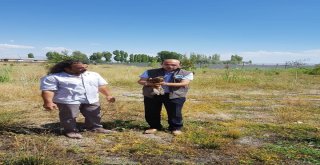 Tedavileri Tamamlanan Kızıl Şahin Ve Kulaklı Orman Baykuş Yaşam Alanlarına Bırakıldı