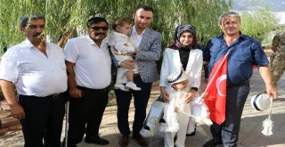 Valilik Makam Aracı Sünnet Arabası Oldu