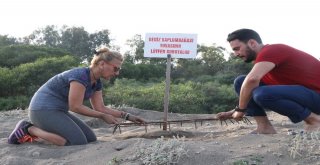 (Özel) Dünyanın Gözünün Kaldığı Sahillerde İnsanlık Ayıbı