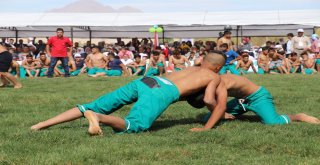 Ulusal Yağlı Güreş Festivali Başladı