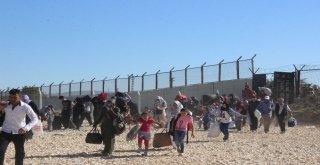 Suriyeliler Maraton Koşar Gibi Ülkelerine Gidiyor