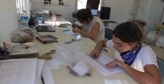 Adramytteion Antik Kentinde Kazı Sezonu Bitti
