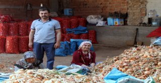 Soğanda Parayı Aracılar Kazanıyor