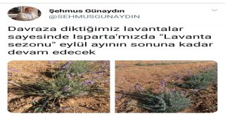 Isparta Valisi Şehmus Günaydın: