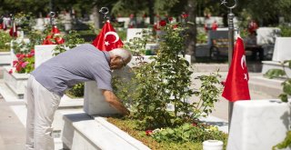 Şehit Yakınlarının Hüzünlü Bayramı