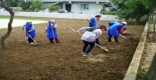 Kartepeye Yeni Parklar Yapılıyor