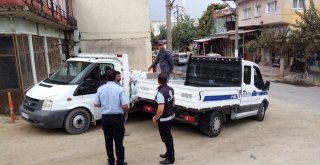 Sökede Çam Kozalaklarını İzinsiz Toplayanlar Yakalandı