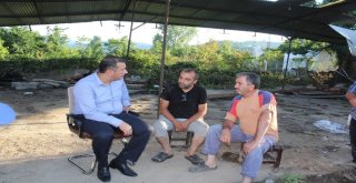 Güney: Devletimiz Bütün İmkanlarını Seferber Edecek