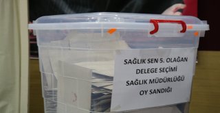 Sağlık-Sende Delege Seçimleri Heyecanı