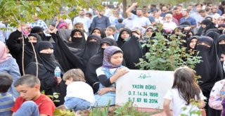 Yasin Börü Ve Arkadaşları Mezarları Başında Anıldı