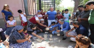 Roman Kooperatifinde Üretim Zamanı